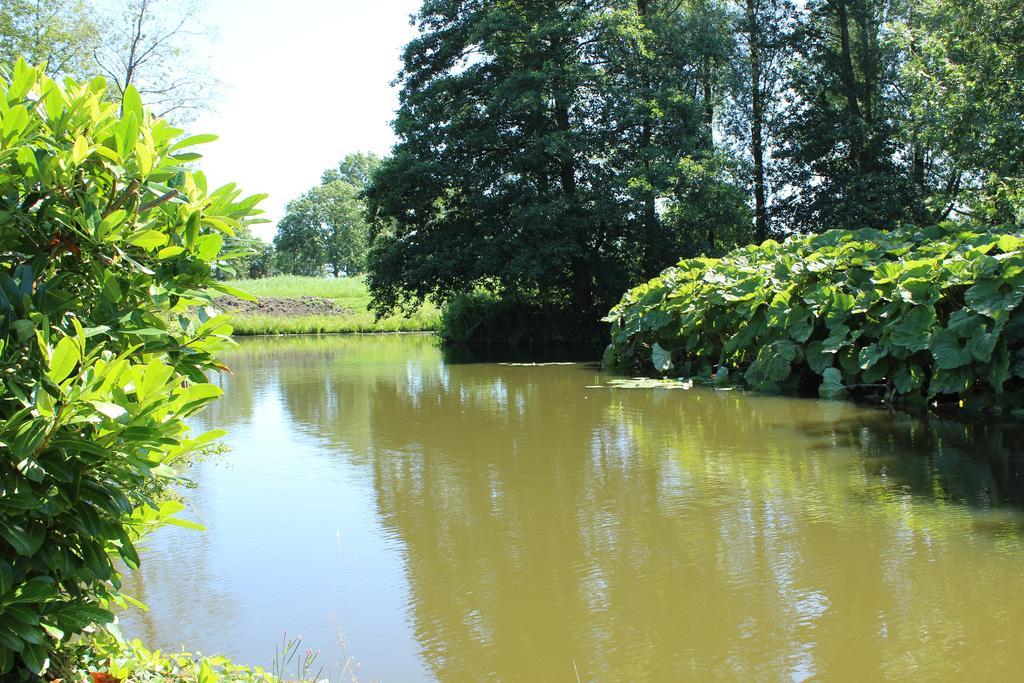 Bed And Breakfast De Lijster Zuid-Scharwoude Esterno foto